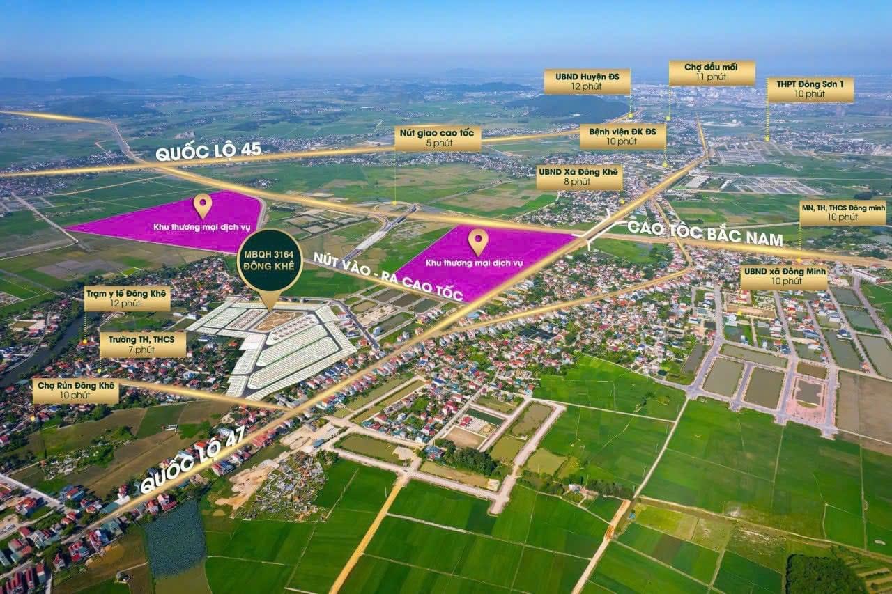 t đấu giá đông khê